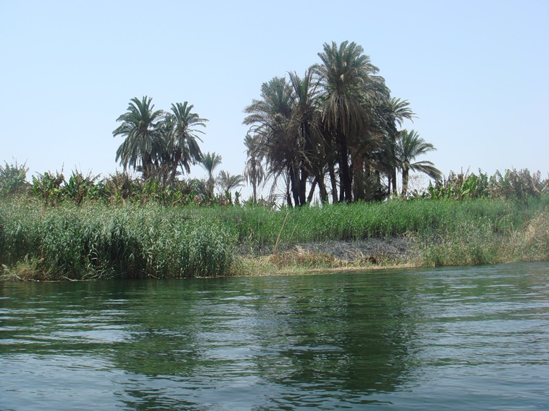Берег реки Нил в Египте